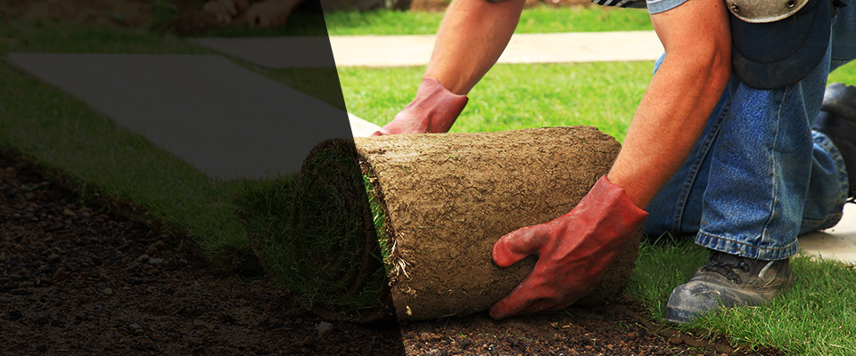 North Branch Landscapers